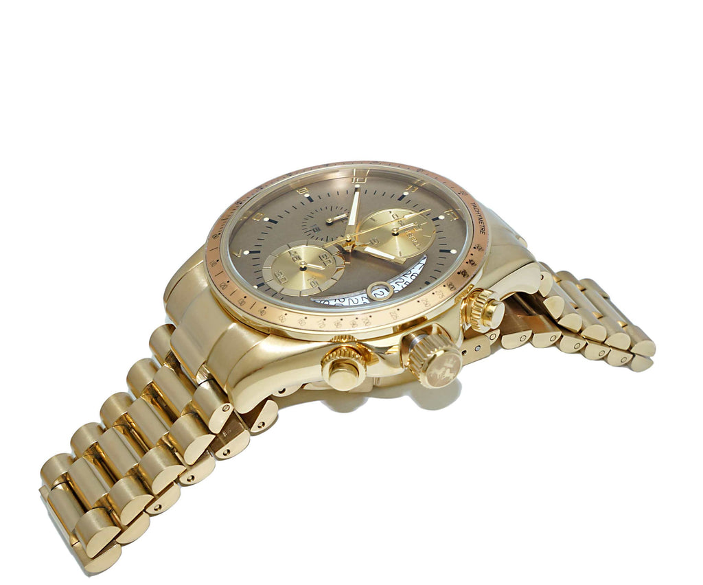 WINNER CIRCLE Brown/Goldtone | Brown Dial