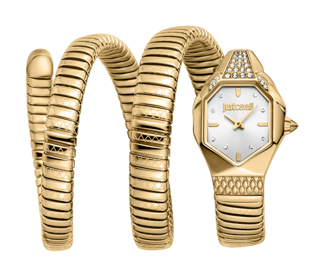 Snake 22mm / Silver / Gold Silver Dial