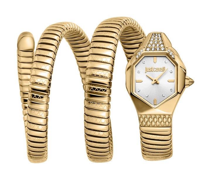 Snake 22mm / Silver / Gold Silver Dial