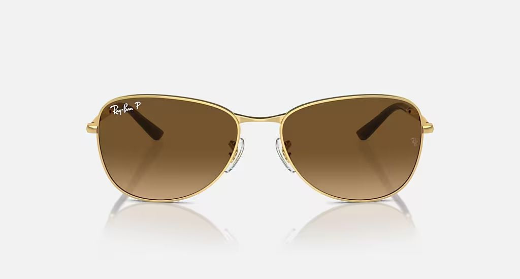 RB3733 UNISEX Arista / Brown Gradient Polar |  Dial