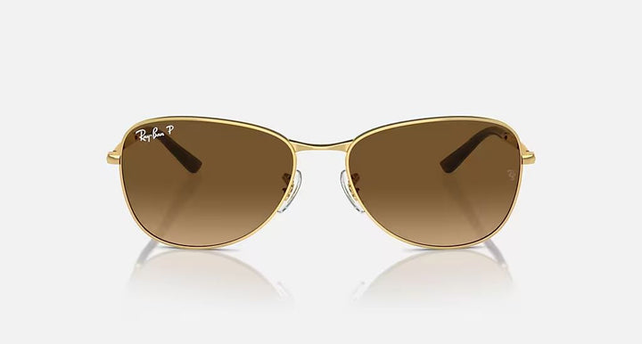 RB3733 UNISEX Arista / Brown Gradient Polar |  Dial