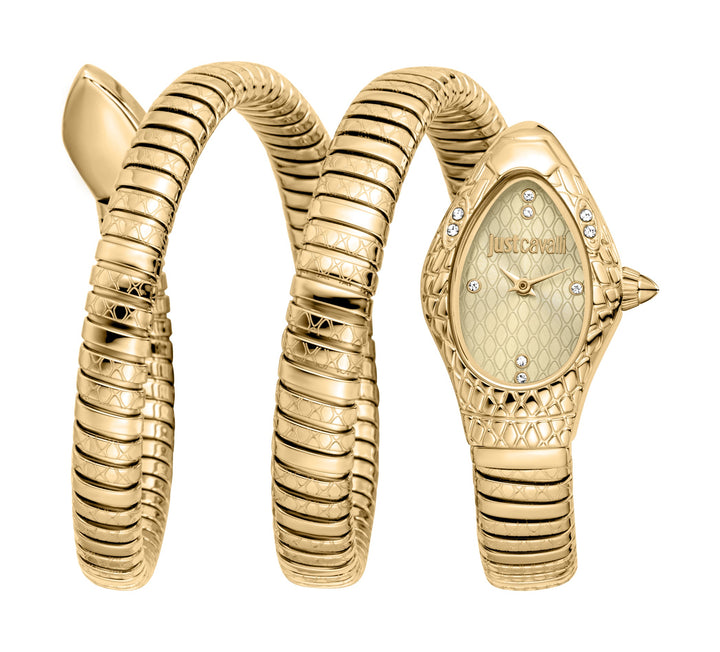 Snake 20mm / Champagne / Gold | Champagne Dial