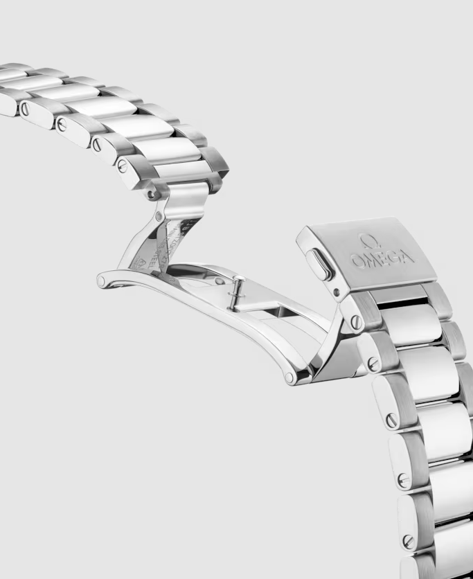 AQUA TERRA 150M COAXIAL MASTER CHRONOMETER 41mm | Sliver Dial