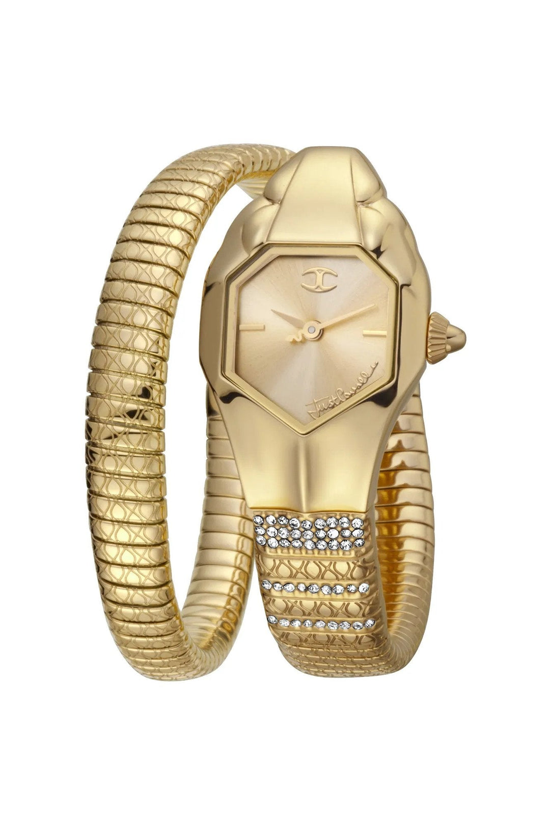 Signature Snake 22mm / Champagne / Gold | Champagne Dial