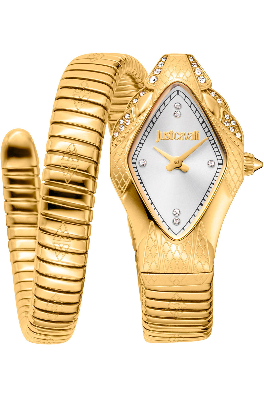 Just Cavalli 22mm / Gold / Silver Silver Dial