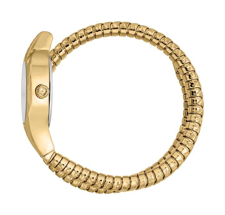 Snake 22mm / Silver / Gold Silver Dial