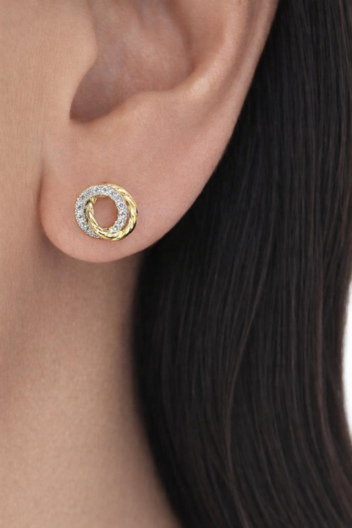 Diamond Dust Twisted Circle Earrings