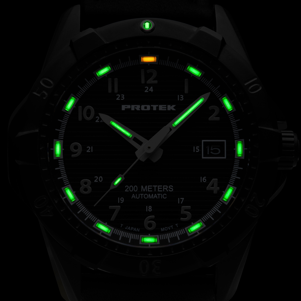 ProTek Steel Dive Auto PT2202BR