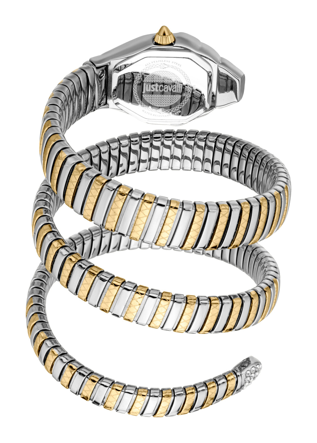 Snake 22mm / Silver / Silver and Gold Silver Dial