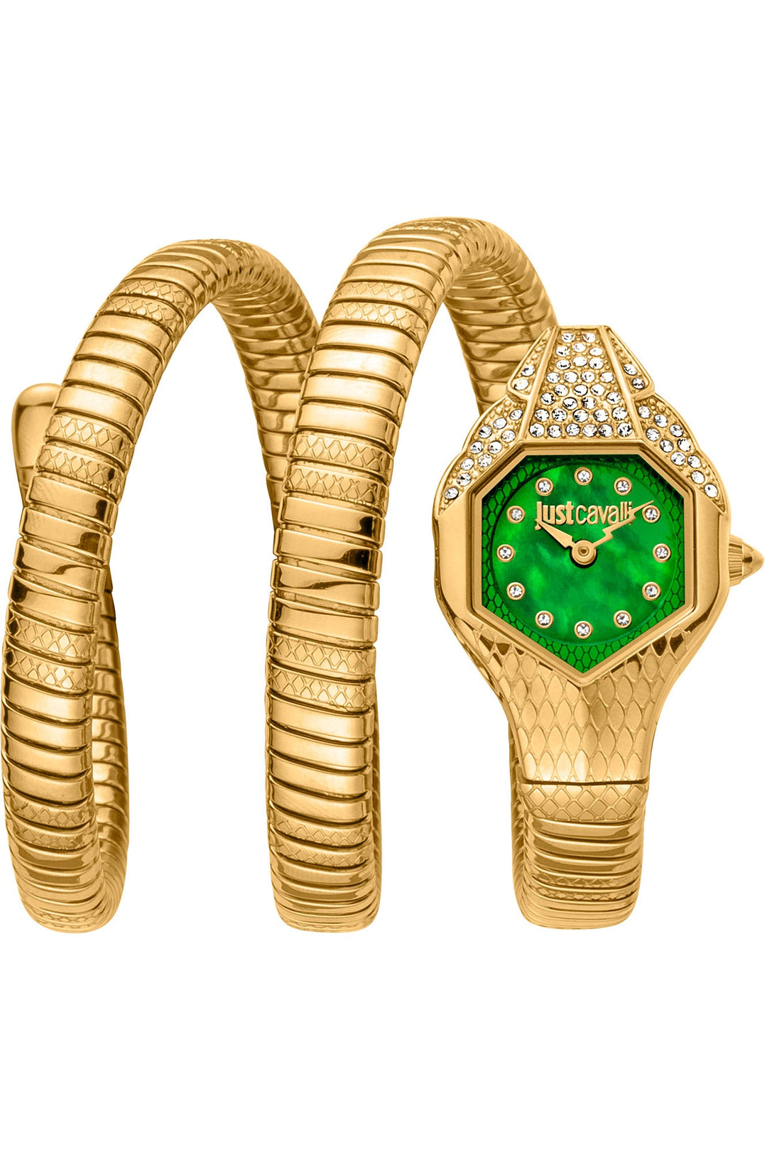 Just Cavalli 22mm / Gold / Green | Green Dial