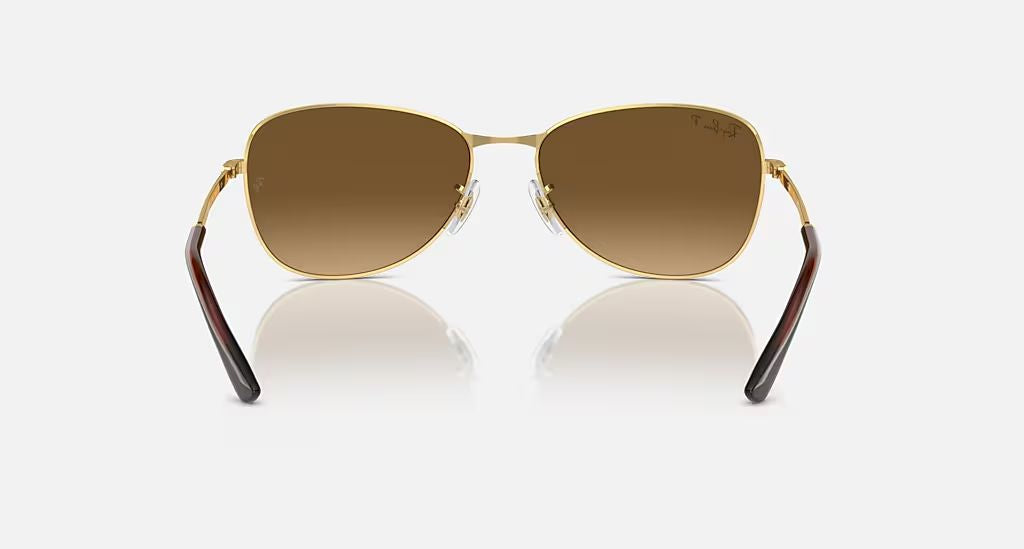 RB3733 UNISEX Arista / Brown Gradient Polar |  Dial