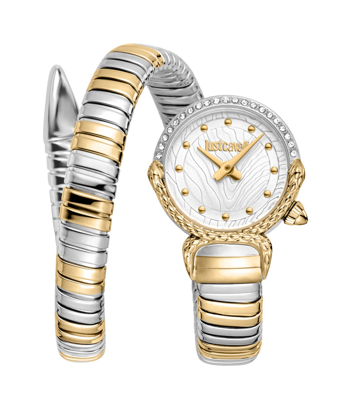 Snake 22mm / Silver / Silver and Gold Silver Dial