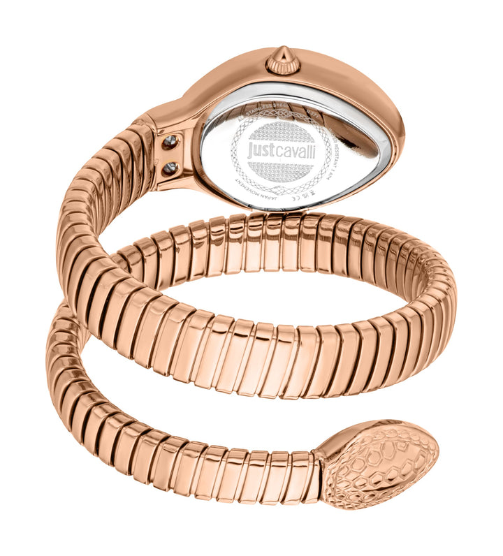 Eclisse 22mm / Silver / Rose Gold | Silver Dial