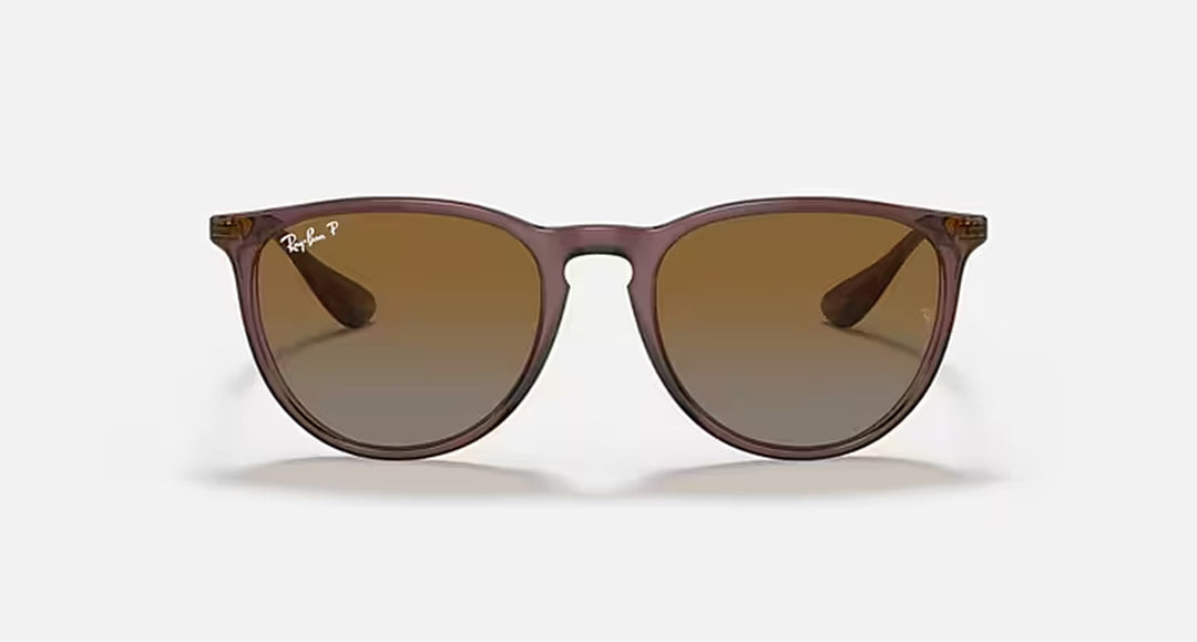 ERIKA CLASSIC LADIES / TRANSPARENT DARK BROWN-BROWN GRADIENT POLAR