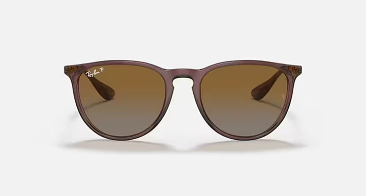 ERIKA CLASSIC LADIES / TRANSPARENT DARK BROWN-BROWN GRADIENT POLAR