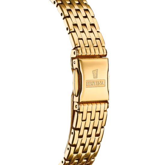 Swiss Made Gold / Stainless Steel Gold Dial