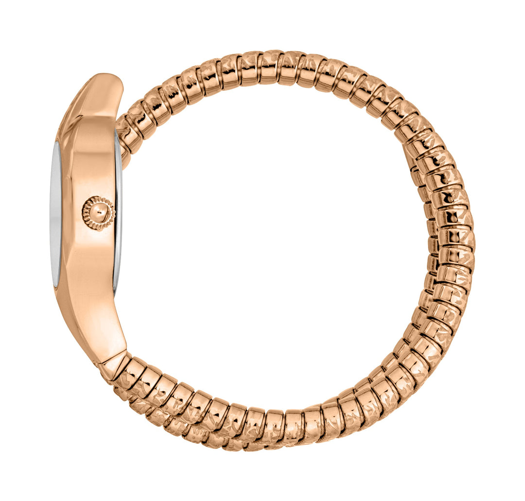 Just Cavalli 22mm / Rose Gold / Silver Silver Dial