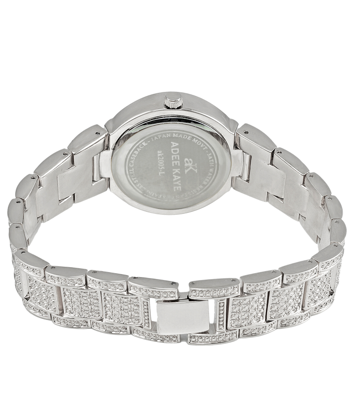 ASTONISH Silvertone | Silver Dial
