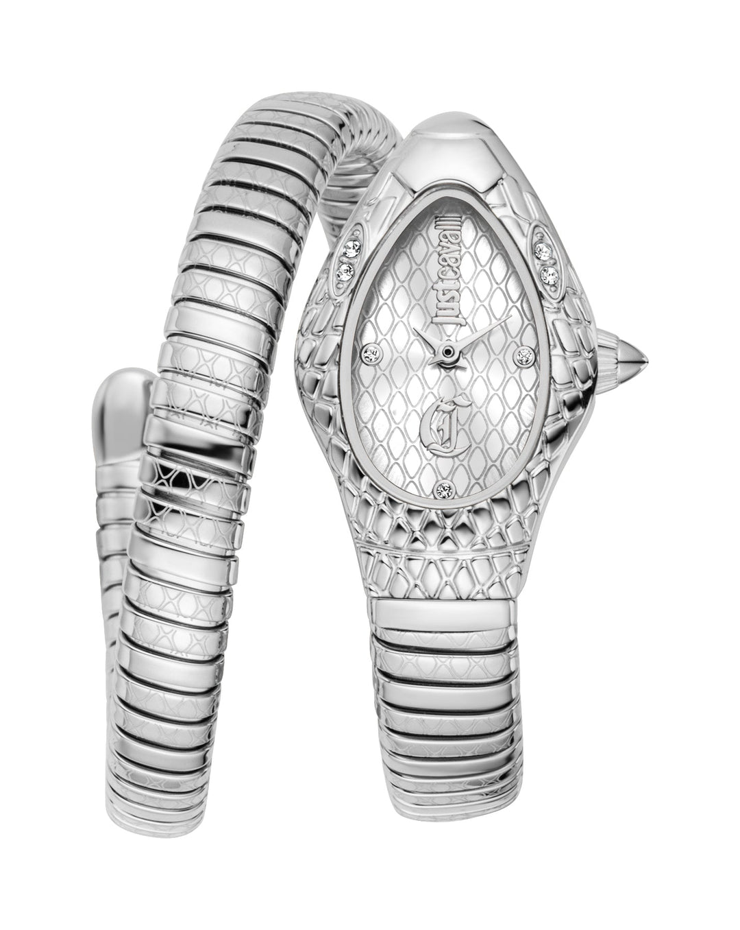 Snake 20mm / Silver / Silver Silver Dial
