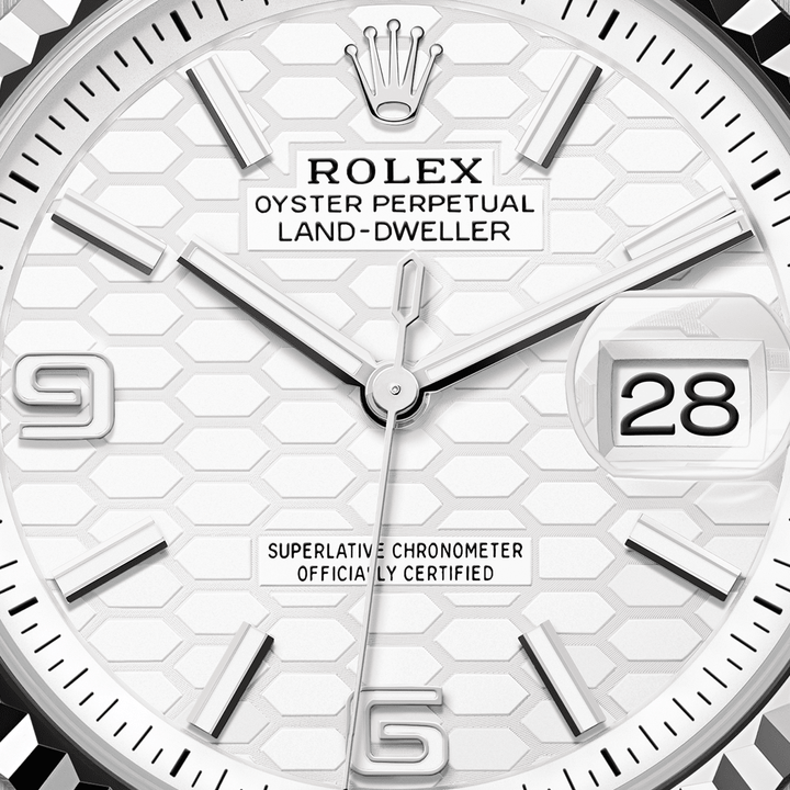Rolex Land-Dweller 36 127234 - dial close-up
