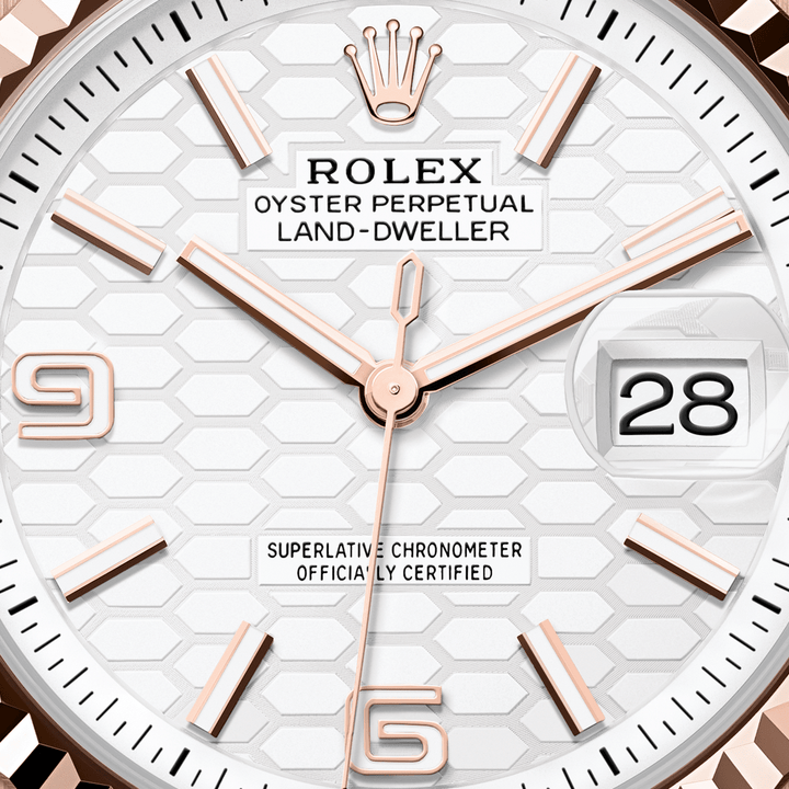 Rolex Land-Dweller 36 127235 - dial close-up
