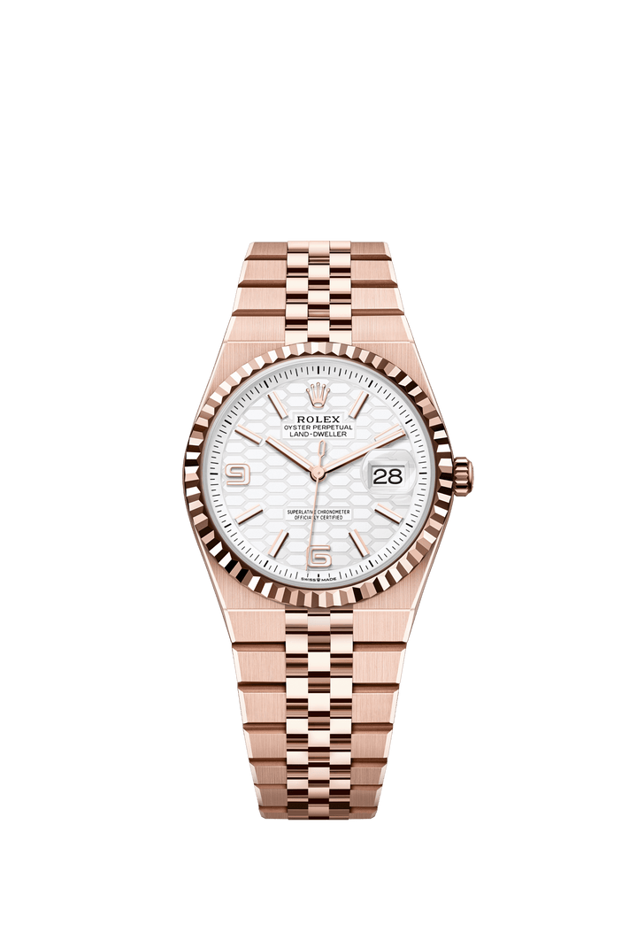 Rolex Land-Dweller 36 127235