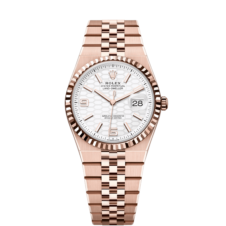 Rolex Land-Dweller 36 127235 - detail