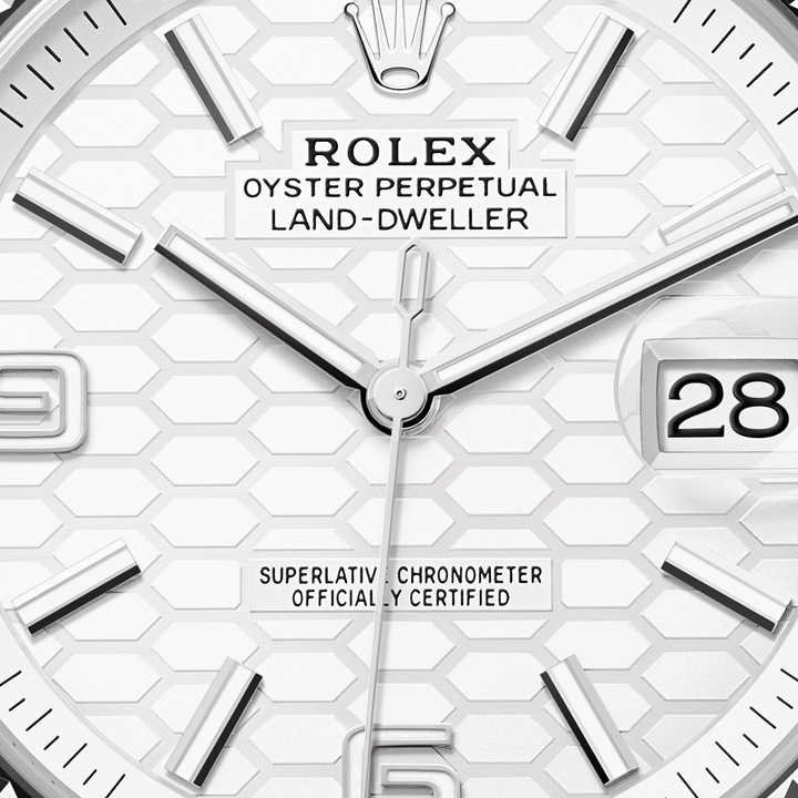 Rolex Land-Dweller 40 127334 - dial close-up