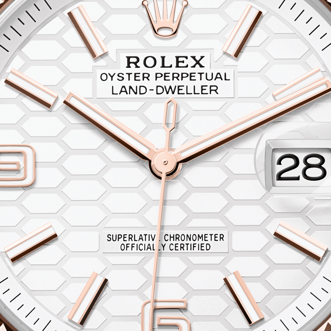 Rolex Land-Dweller 40 127335 - dial close-up