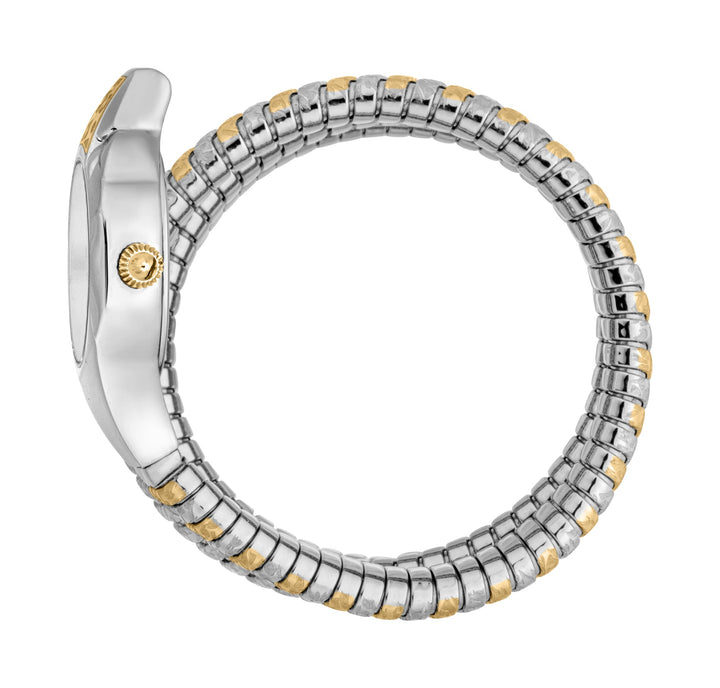 Signature Snake 22mm / Silver / Silver and Gold | Silver Dial