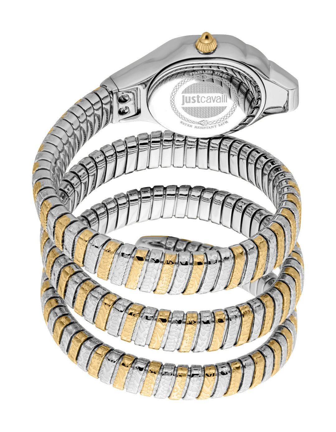 Signature Snake 22mm / Silver / Silver and Gold | Silver Dial