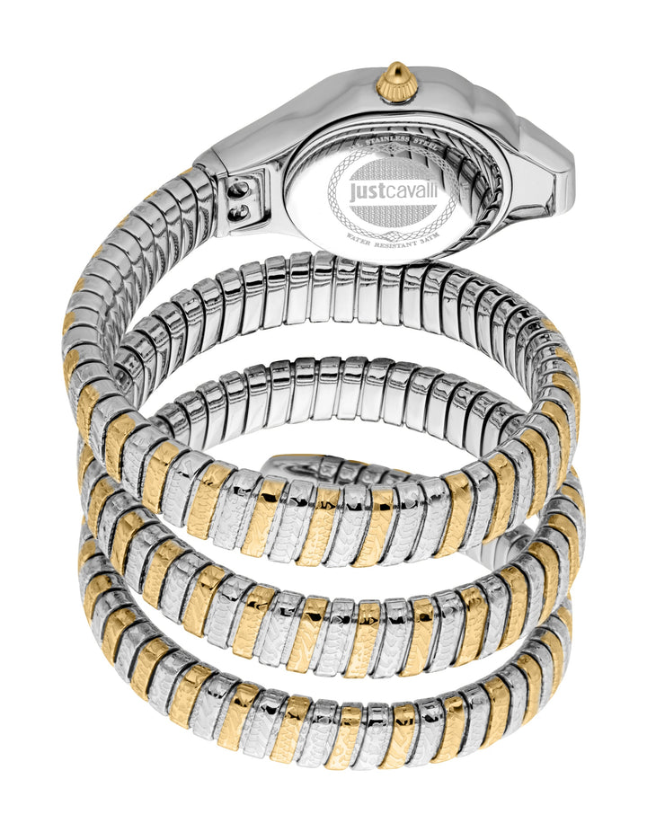 Signature Snake 22mm / Silver / Silver and Gold | Silver Dial