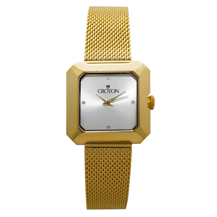 Ladies All Stainless Steel Silvertone Mesh Bracelet Watch with Gray Dial