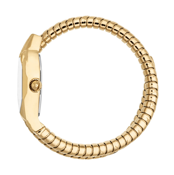 Snake 22mm / Silver / Gold Silver Dial