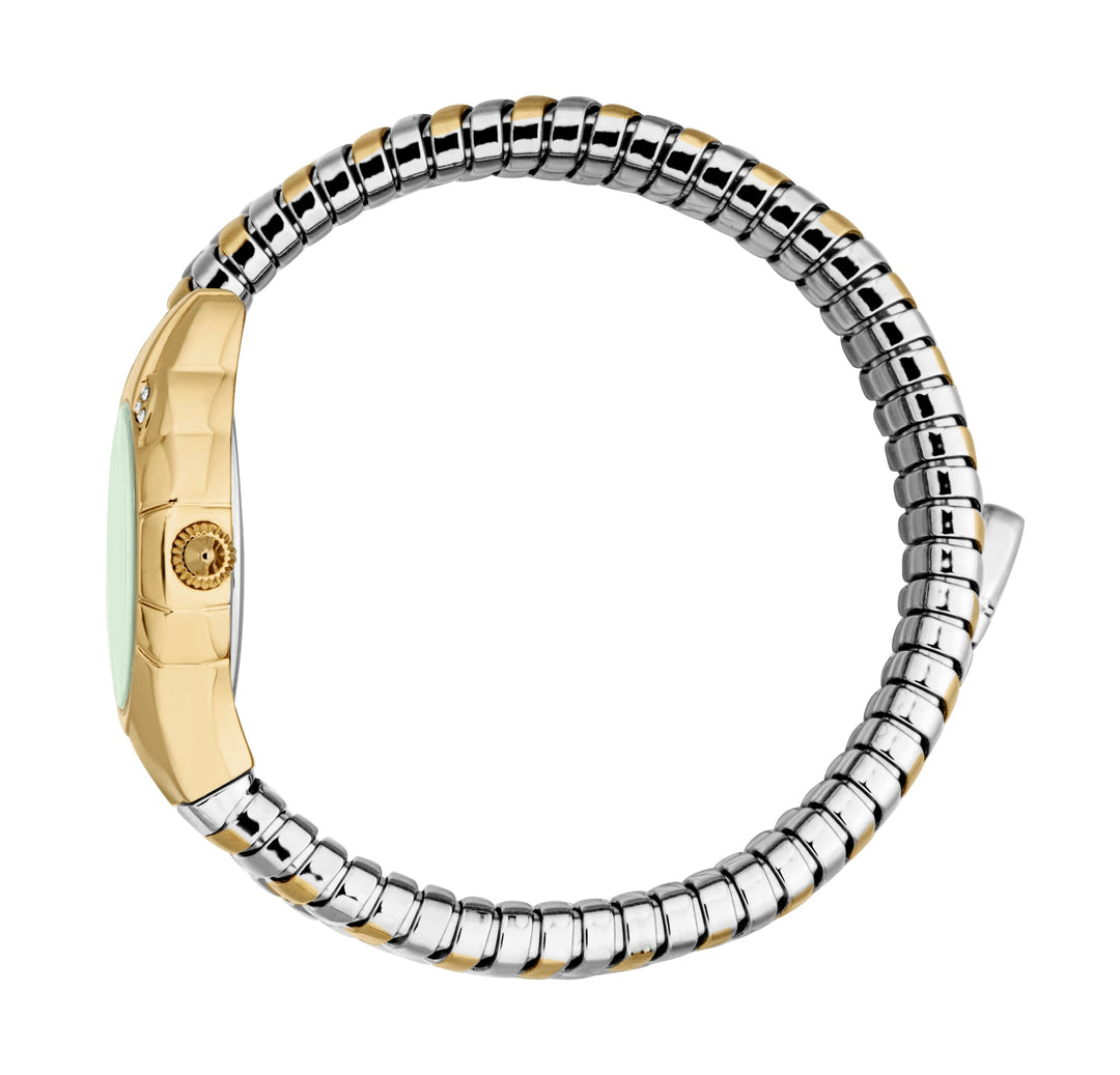 Snake 22.5mm / Dark Green / Silver and Gold Dark Green Dial