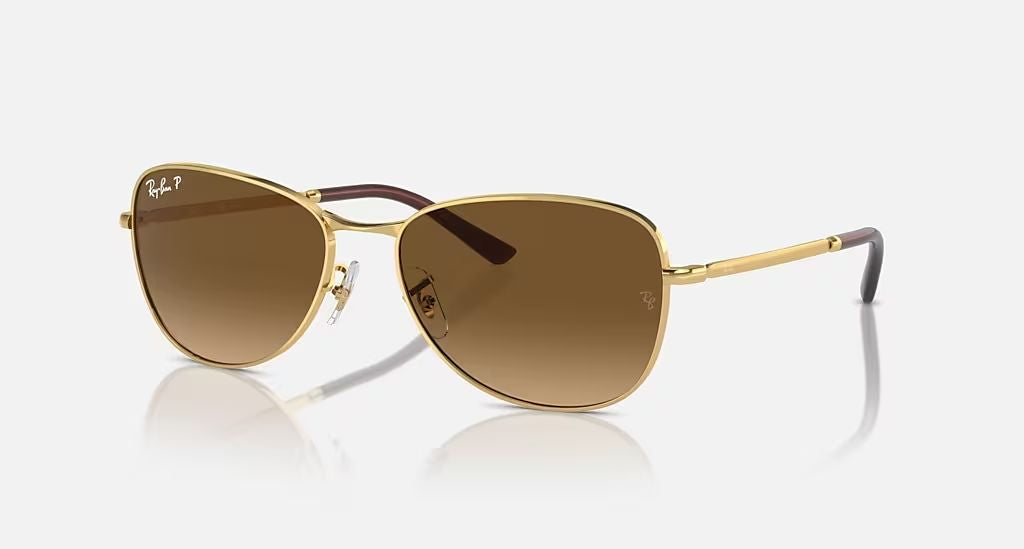 RB3733 UNISEX Arista / Brown Gradient Polar |  Dial