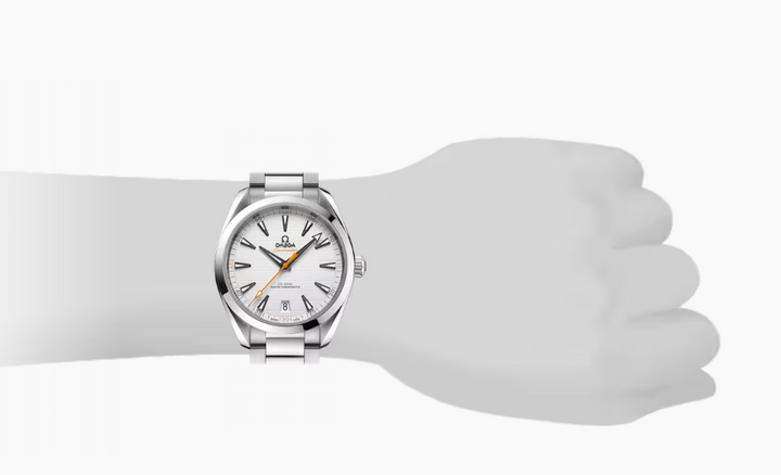 AQUA TERRA 150M COAXIAL MASTER CHRONOMETER 41mm | Sliver Dial