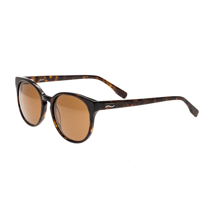 Clark Tortoise/Brown |  Dial
