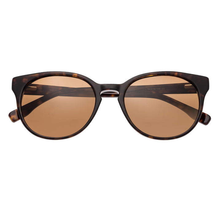 Clark Tortoise/Brown |  Dial