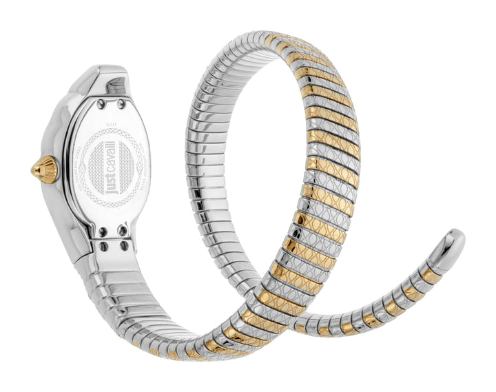 Snake 22mm / Silver / Silver and Gold Silver Dial