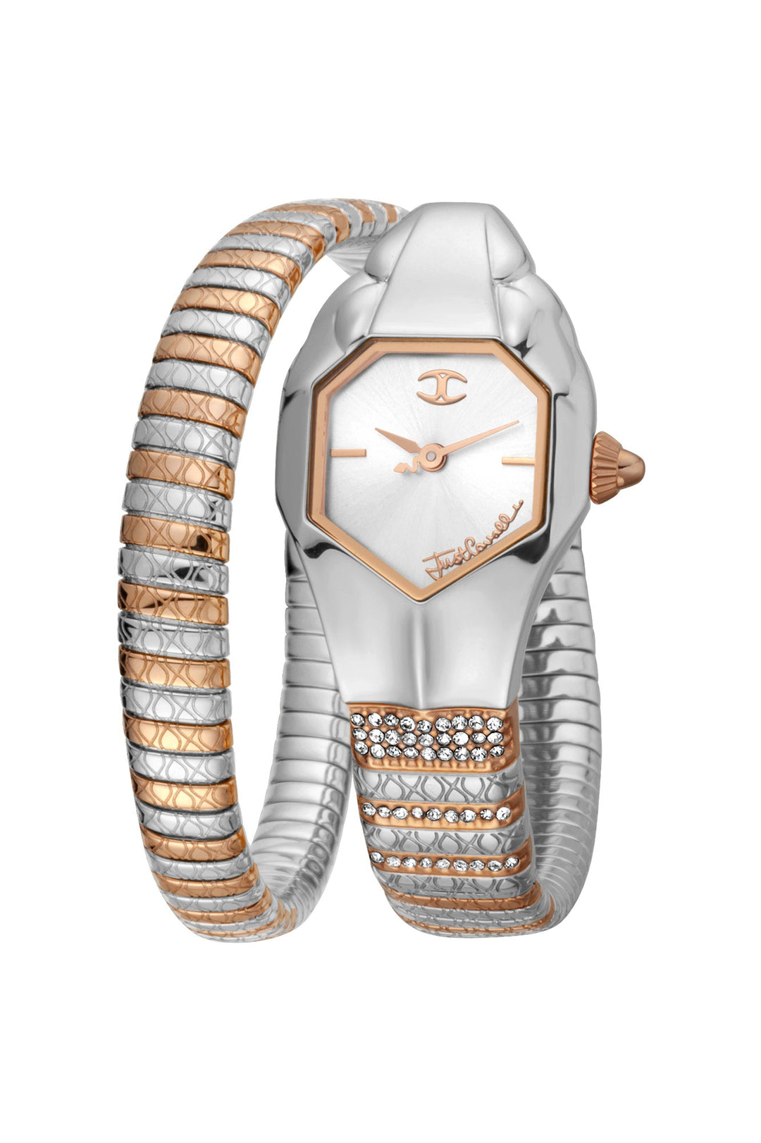 Signature Snake 22mm / Silver / Silver | Silver Dial