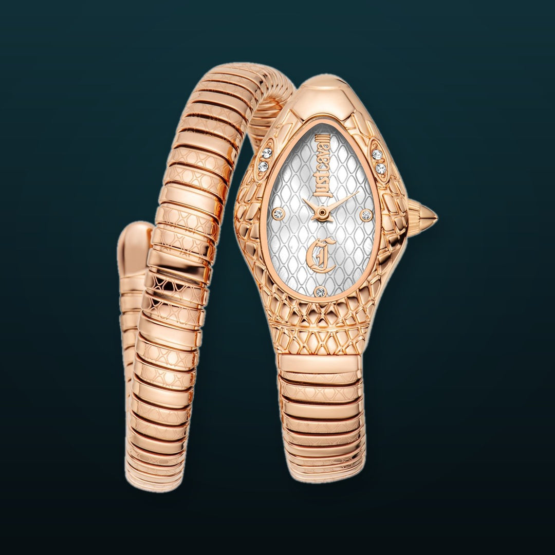 Snake 20 mm / Silver / Gold Silver Dial