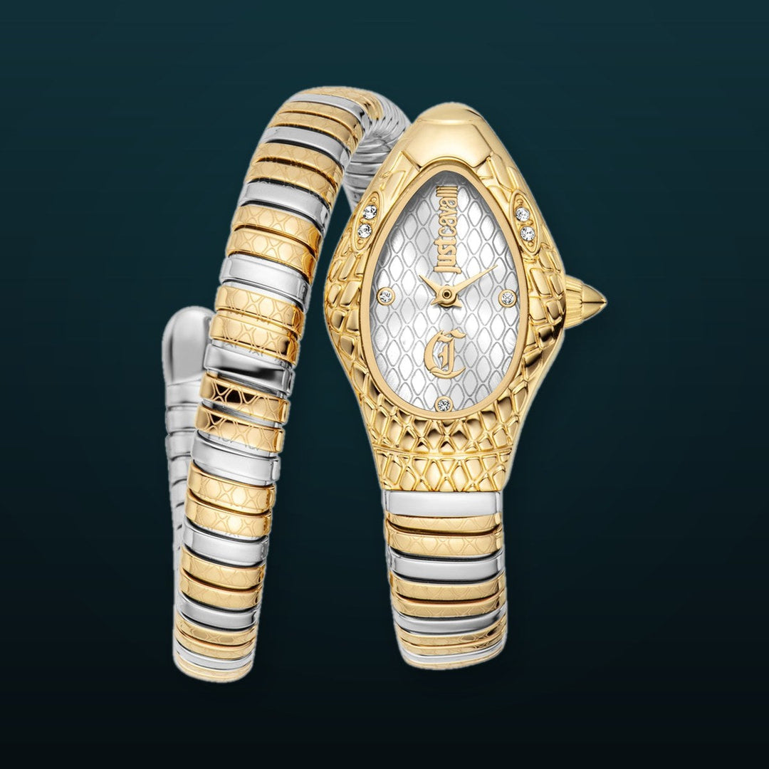 Snake 20mm / Silver / Silver and Gold Silver Dial
