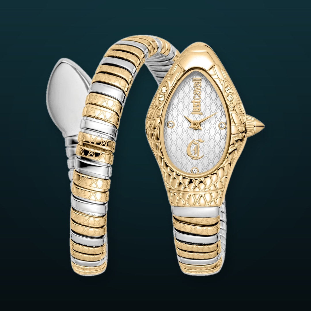 Just Cavalli 20mm / Silver and Gold / Silver | Silver Dial