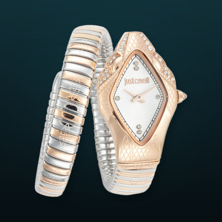 Snake 22mm / Silver / Silver and Rose Gold Silver Dial