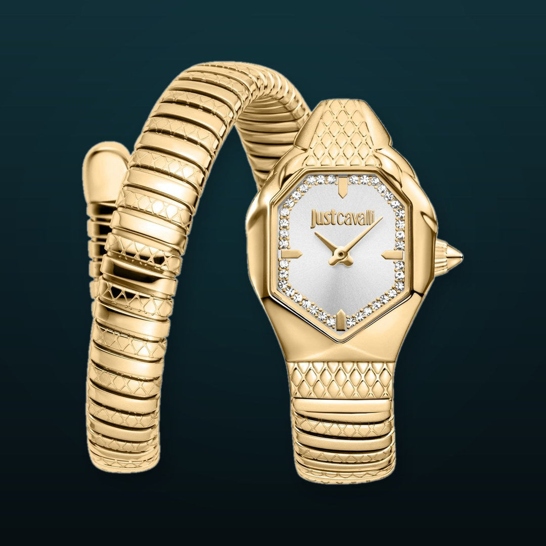 Snake 22mm / Silver / Gold Silver Dial