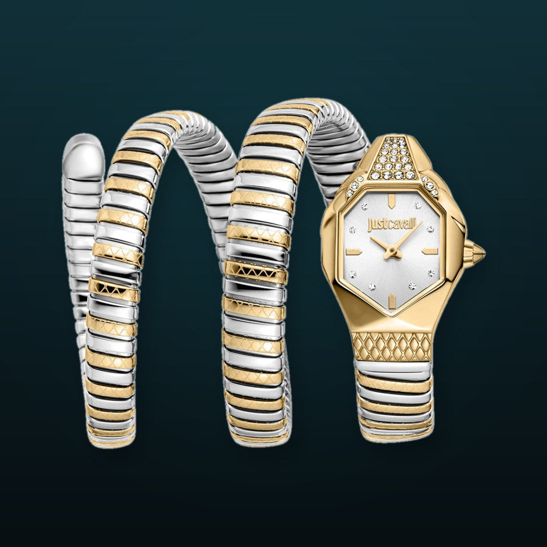 Snake 22mm / Silver / Silver and Gold Silver Dial