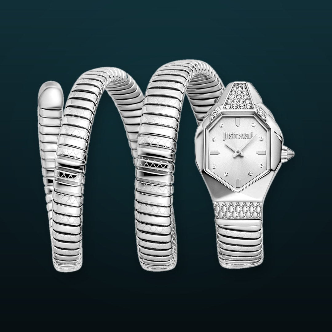 Snake 22mm / Silver / Silver Silver Dial