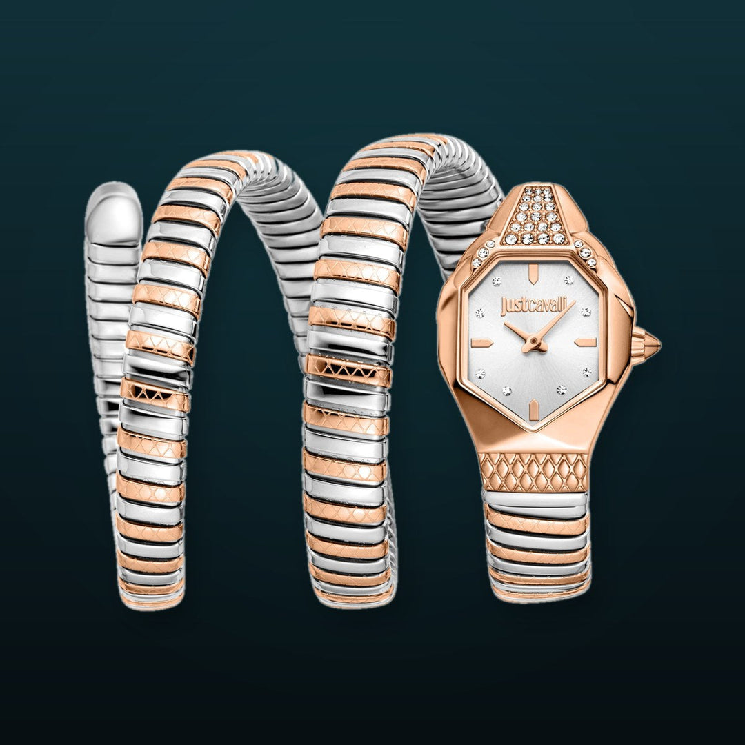 Snake 22mm / Silver / Silver and Rose Gold Silver Dial