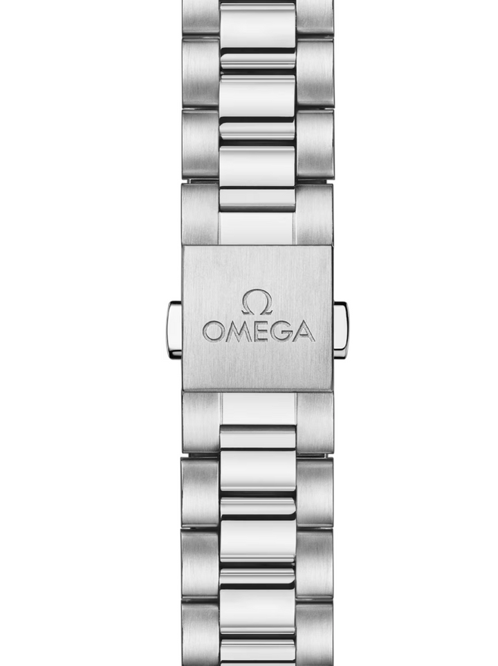 Seamaster Railmaster 38mm Gray Dial